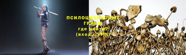 твердый Киренск